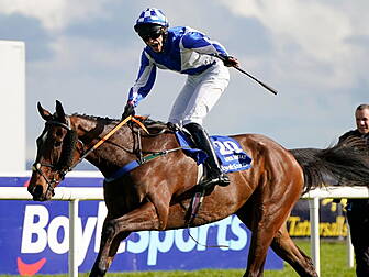 Lord Lariat claims 150th Irish...